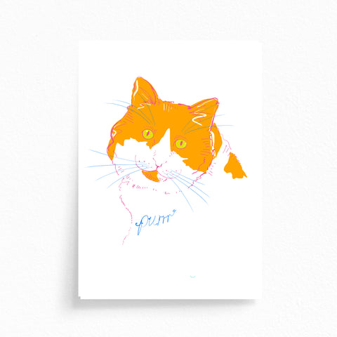 Greeting Card · Colourful Cats · Orange · Purrr