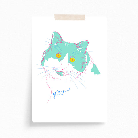 Greeting Card · Colourful Cats · Mint · Purrr