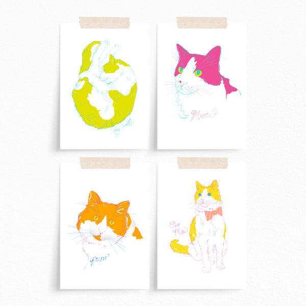 Postcard · Colourful Cats
