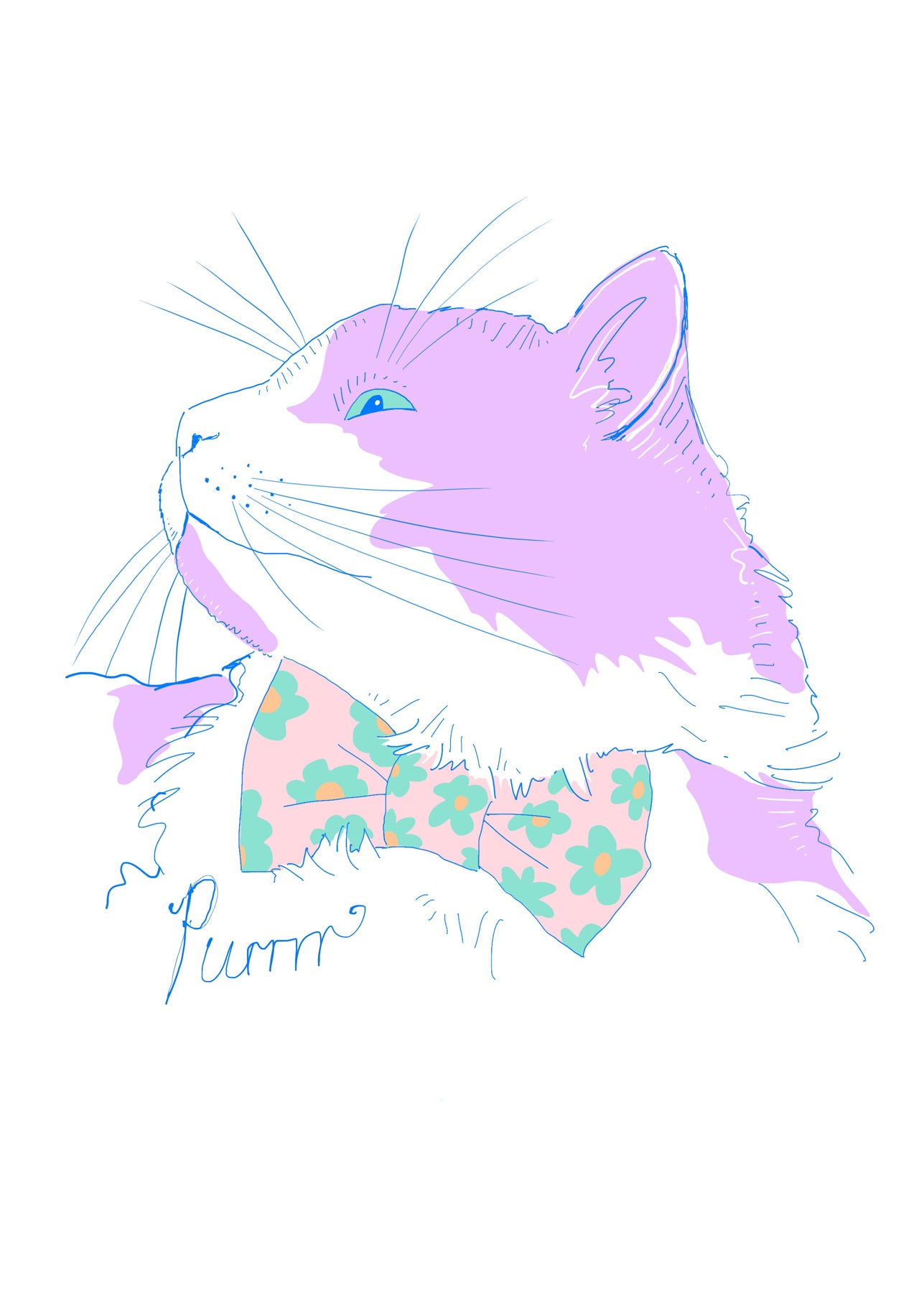 Postcard · Colourful Cats