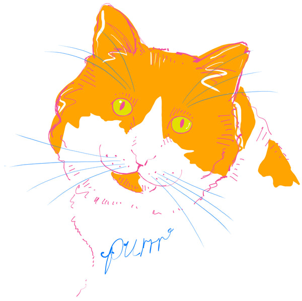 Art Print · Colourful Cats · Orange Cat · Purrr