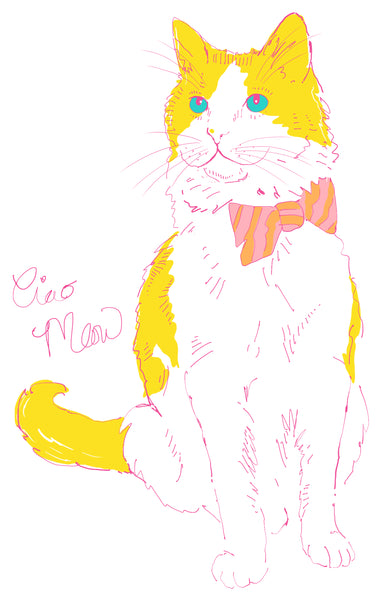 Art Print · Colourful Cats · Yellow Cat · Ciao Meow